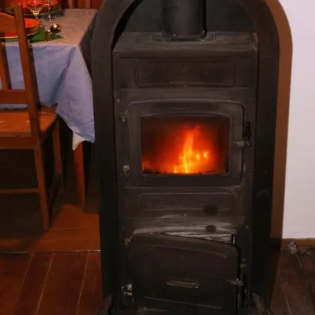 Elni Jo Haz * Szár